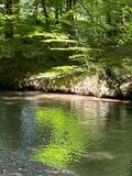 01.08.26 Und immer wieder die Düssel bei Erkrath
