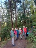 22.08.26 Durchs Burgholz