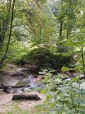 img-20260905-wa0013.jpg
