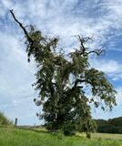 26.09.26 Von Lennep nach Beyenbuer