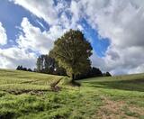 10.10.26 Forellen-Essen-Wanderung