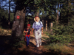 Familienwandertag in Fleckenberg im Sauerland