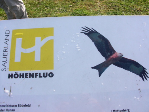 nur Fliegen ist schöner