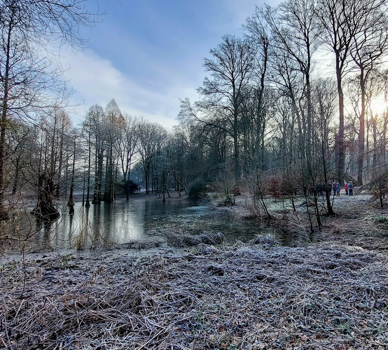 Winterstimmung im Rombergpark