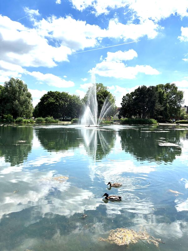 Sommerstimmung am Teich