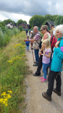 24.07.Es gibt viel am Wegesrand