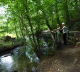 28.07.Die Holzbrücke an der Düssel