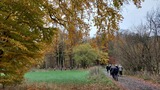 16.11.Und anschließend Verdauungsspaziergang