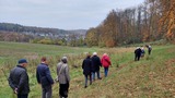 16.11.Und anschließend Verdauungsspaziergang