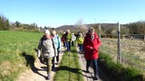 06.04.Claudia hat viel Sonnenschein bestellt