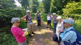 18.06.Schatten suchen