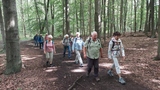 30.07.Im lichten Wald