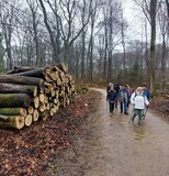 11.02.Das ist dann das Ergebnis