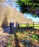 25.02.Überall kommt was aus der Erde