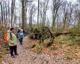 11.03.Hat den irgendwer umgeschmissen ?