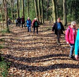 18.03.Sonnendurchfluterter Wald