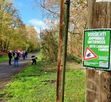 01.04.Das sieht schon nach Frühling aus