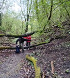 19.04.Holz im Weg ? Dann drunter oder drüber