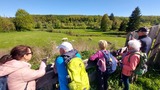 22.04.Die Kühe dürfen auch schon nach draußen