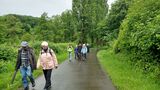 20.05.Durch`s frische Grün