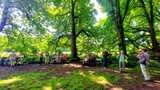 27.05.Heute ist Schatten gefragt