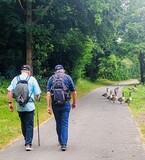 08.07.Gegenverkehr