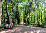 15.07.Licht und Schatten in Dortmunder Wäldern