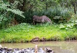 26.07.Kunstwerk in der Natur