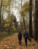 Bild 08