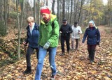 Bild 08