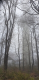 05 Nordhelle im Nebel