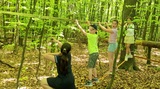 031 Slackline Parcours