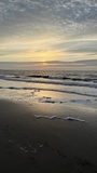 img_3803.jpeg