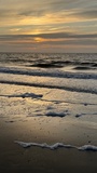 img_3804.jpeg