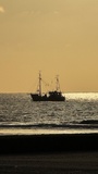 img_3874.jpeg