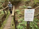image9.jpeg