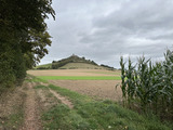 img_4335.jpg