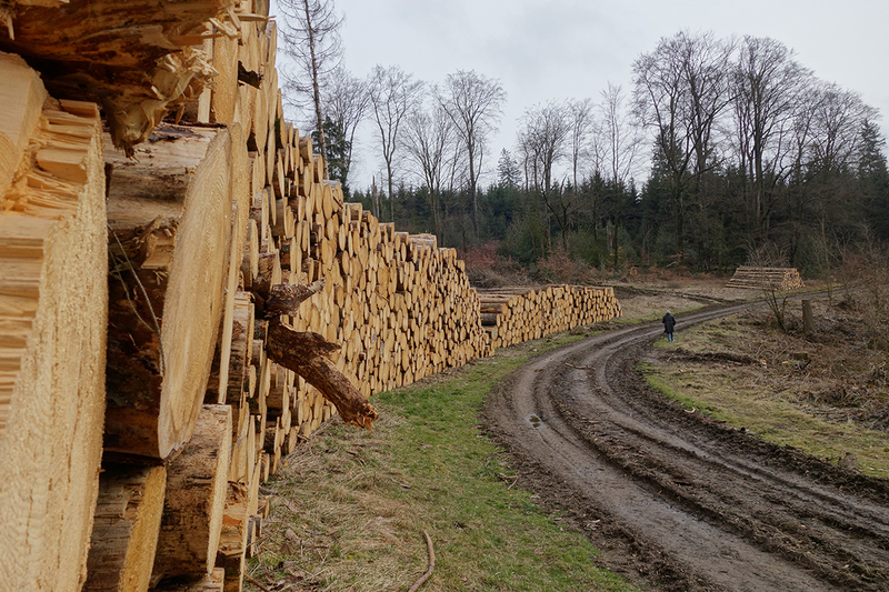 10.03.2021: Wandern ums Heed im Frühjahr 2021...