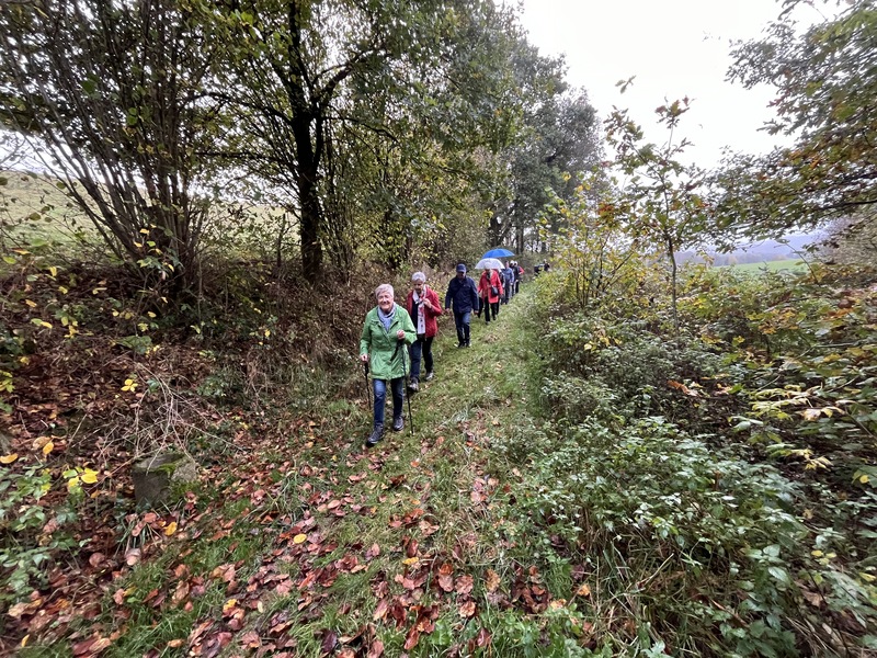 29.10.2024: Herbstwanderung auf dem Raukweg in Kierspe.