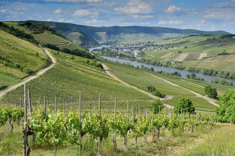 16.09.2025 Ausflug an die Mosel