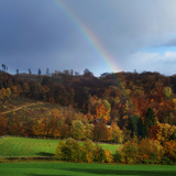 07.11.2023: Regen, Sonne, Herbst - Regenbogen und farbige Wälder auf der Wanderung von Oesterfeld nach Valbert.