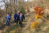 05.11.2024: Herbstwanderung zur Schinderhannes-Mühle.