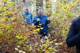 12.11.2024: Der Kampf durchs Herbstlaub um die Herpine.