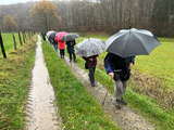 19.11.2024: ...Gemütslage der Wanderer nicht erkennbar...