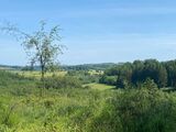 17.06.2025 Schöne Aussicht rund um Sticht.jpg