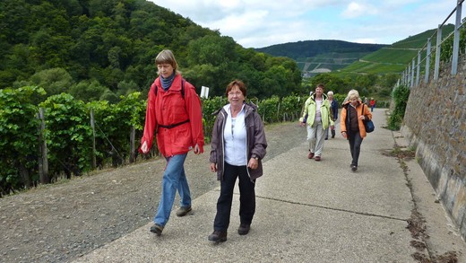 Ahrtalwanderung 2012 - über den Rotweinwanderweg