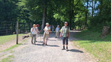 marscheider_wald-3-2026